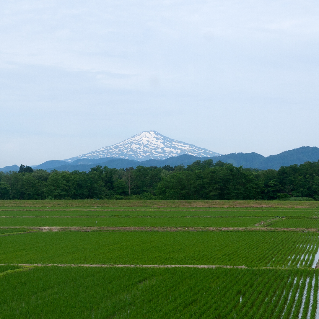 その他のイメージ